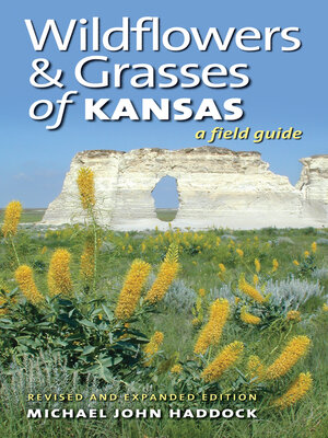 cover image of Wildflowers and Grasses of Kansas